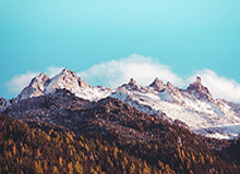 世界杯在线观看-CBA一周综述：“第一集团”保持稳定 山东、深圳战绩亮眼